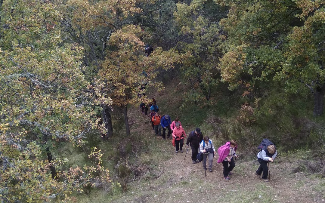 OXIGENÁNDONOS en la Ruta de las Minas.